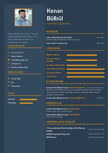 cv indir